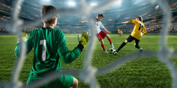 荣誉并创造 荣誉并创造